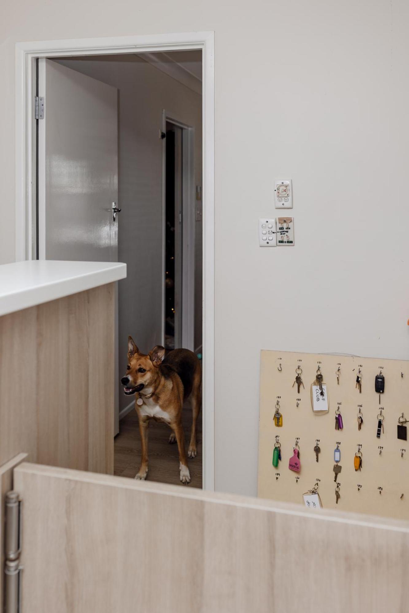 Starline Motor Inn Miles Kültér fotó